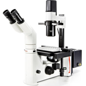 Particle Characterization Analysis Services